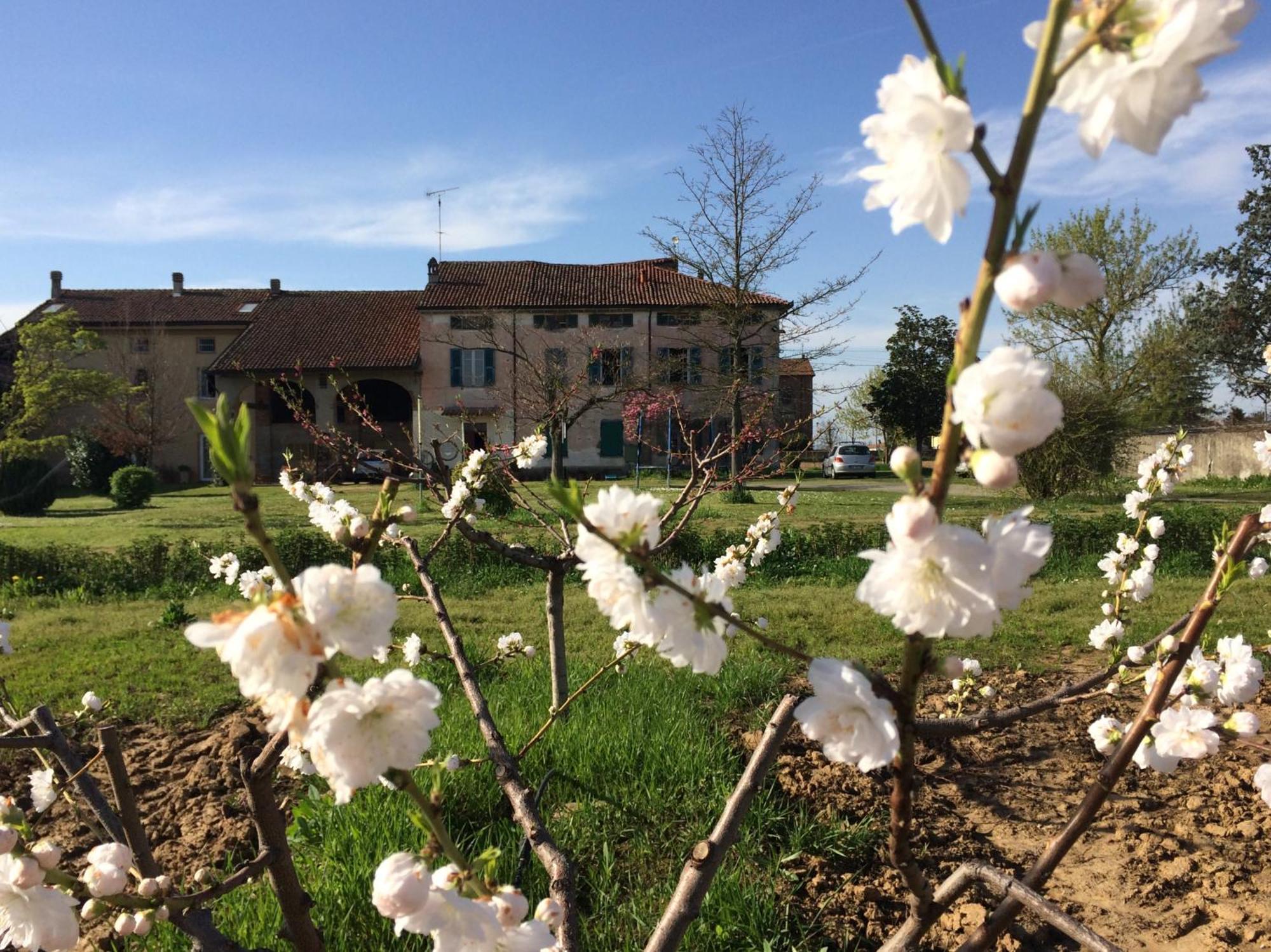 Fattoria Del Soul Hotell Bosco Marengo Exteriör bild