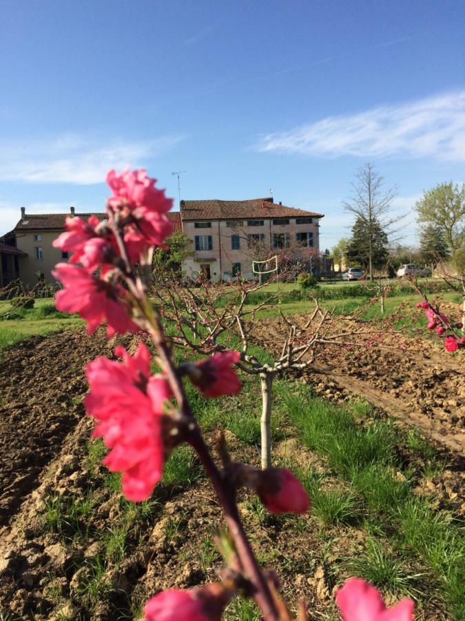 Fattoria Del Soul Hotell Bosco Marengo Exteriör bild